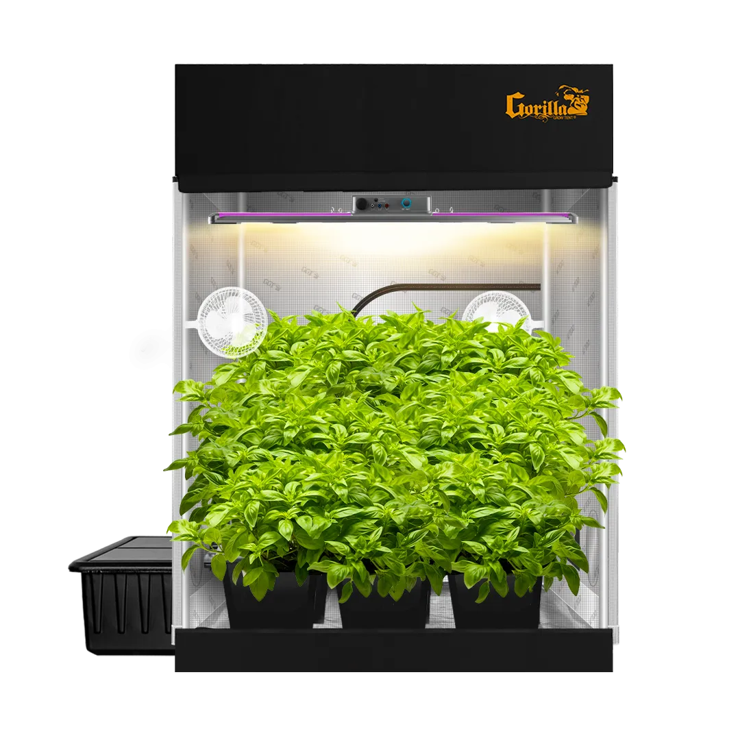 5x5 Grow Tent Kit Pro - Hydroponic with X2 V2