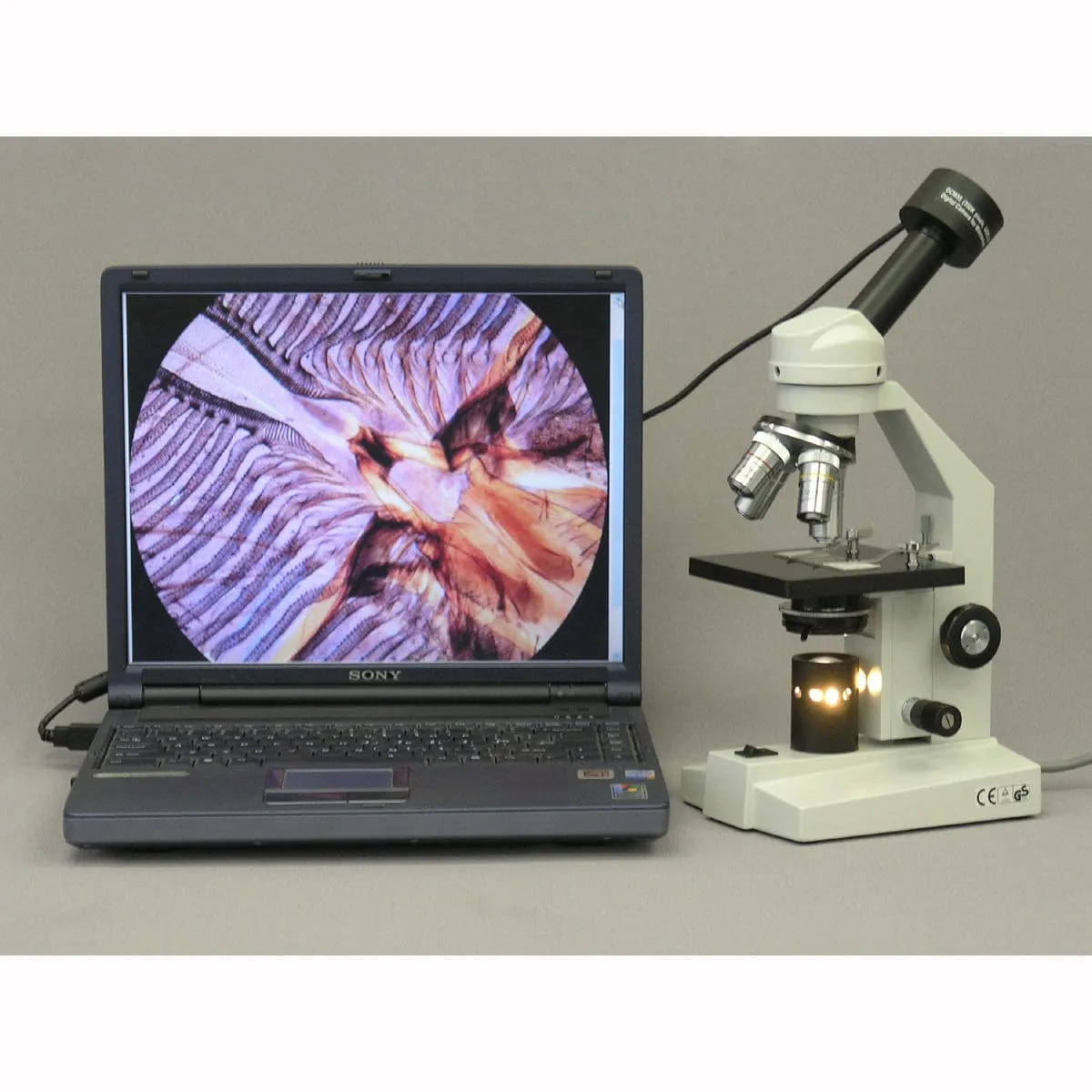 AmScope M500 Series Student Monocular Compound Microscope 40X-1600X Magnification with 1MP USB 2.0 Camera and Slides