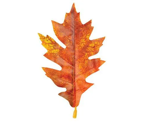 Autumn Leaves Assorted Plastic Pack of 50