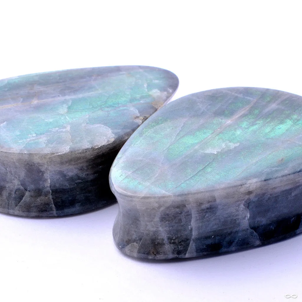 Green Labradorite Teardrop Plugs in 1 1/2” from Relic Stoneworks