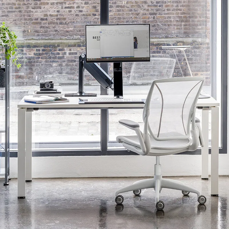 Humanscale Diffirient World Chair