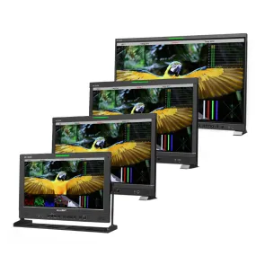 LiLLIPUT Q Series 12G-SDI/HDMI Broadcast Studio Monitor (V-Mount)