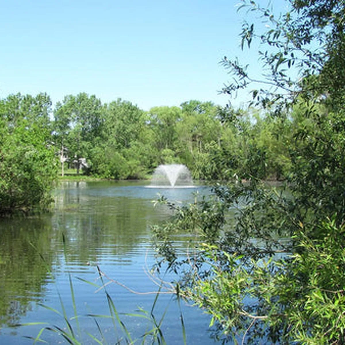 Scott Aerator North Star Fountain Aerator