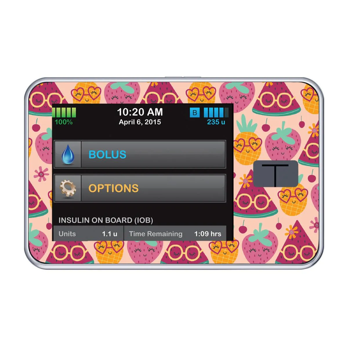 Summer Fruits Sticker for Tandem t:slim